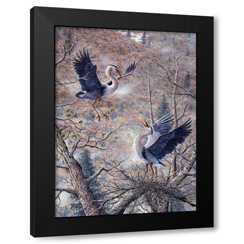 Nesting Time - Great Blue Herons Black Modern Wood Framed Art Print with Double Matting by Tift, Jeff