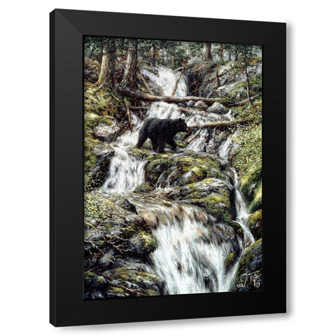 Bear Creek Crossing Black Modern Wood Framed Art Print with Double Matting by Tift, Jeff