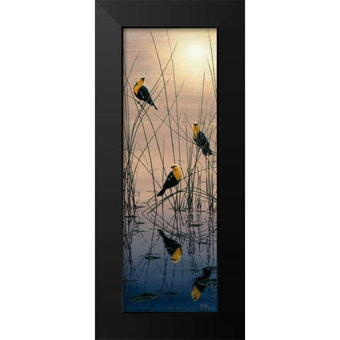 Morning Call - Yellow Headed Blackbirds Black Modern Wood Framed Art Print by Tift, Jeff