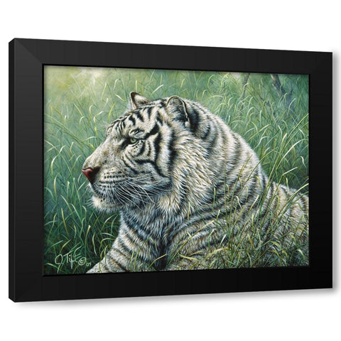White Tiger Black Modern Wood Framed Art Print with Double Matting by Tift, Jeff
