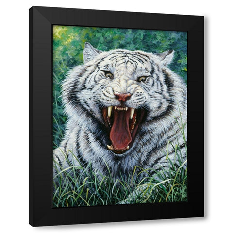 White Tiger 2 Black Modern Wood Framed Art Print with Double Matting by Tift, Jeff