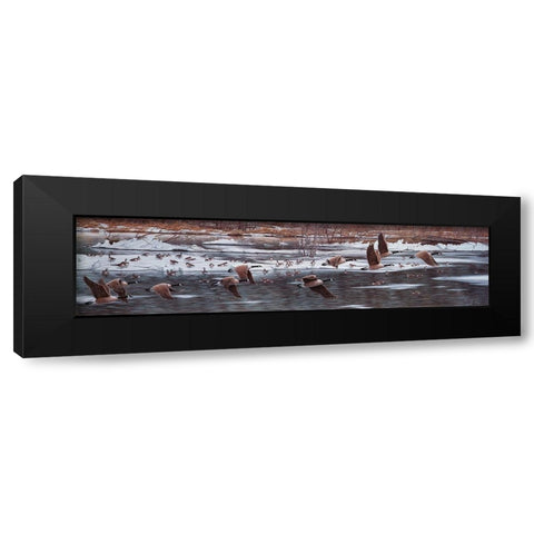 Along The Waterfront Black Modern Wood Framed Art Print with Double Matting by Tift, Jeff