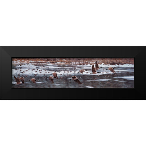 Along The Waterfront Black Modern Wood Framed Art Print by Tift, Jeff