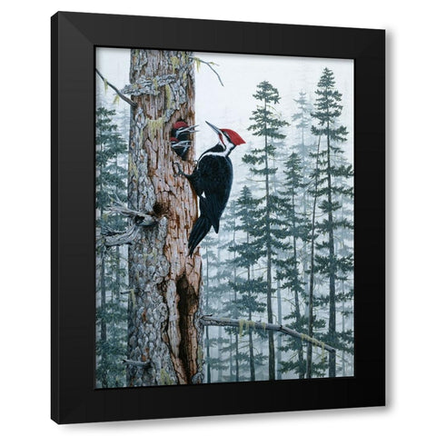 Piliated Woodpeckers Black Modern Wood Framed Art Print by Tift, Jeff