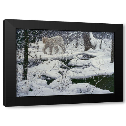 Canadian Lynx And Snowshoe Hare Black Modern Wood Framed Art Print with Double Matting by Tift, Jeff