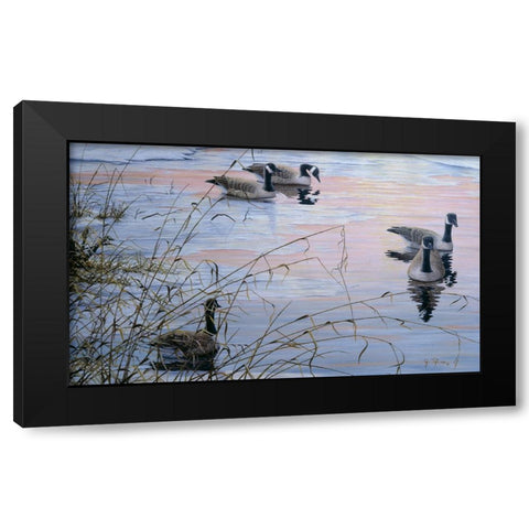 Sunset Serenity Black Modern Wood Framed Art Print with Double Matting by Tift, Jeff