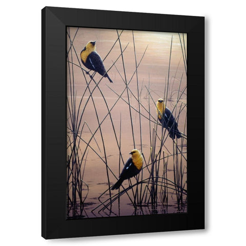 Yellow Headed B Birds Black Modern Wood Framed Art Print by Tift, Jeff