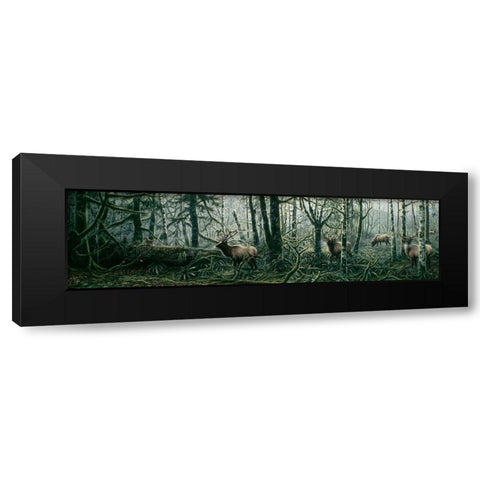 Enchanted Forest Black Modern Wood Framed Art Print with Double Matting by Tift, Jeff