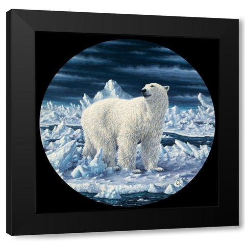 Polar Bear Black Modern Wood Framed Art Print with Double Matting by Tift, Jeff
