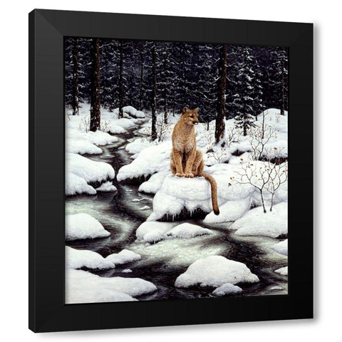 Cougar Black Modern Wood Framed Art Print with Double Matting by Tift, Jeff