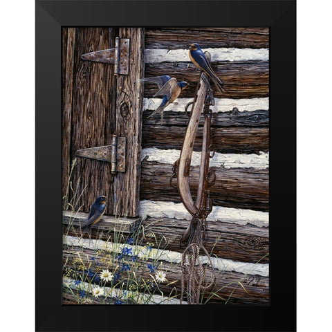 Barn Swallows Black Modern Wood Framed Art Print by Tift, Jeff