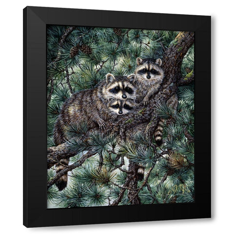 Racoons Black Modern Wood Framed Art Print by Tift, Jeff