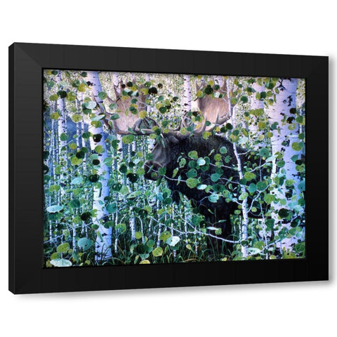 Moose Black Modern Wood Framed Art Print by Tift, Jeff