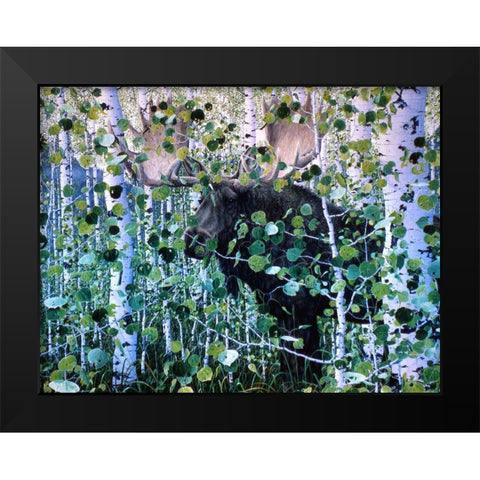 Moose Black Modern Wood Framed Art Print by Tift, Jeff