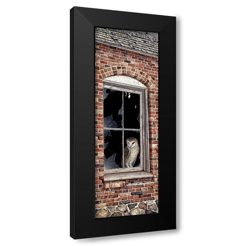 The Look Out Black Modern Wood Framed Art Print with Double Matting by Tift, Jeff