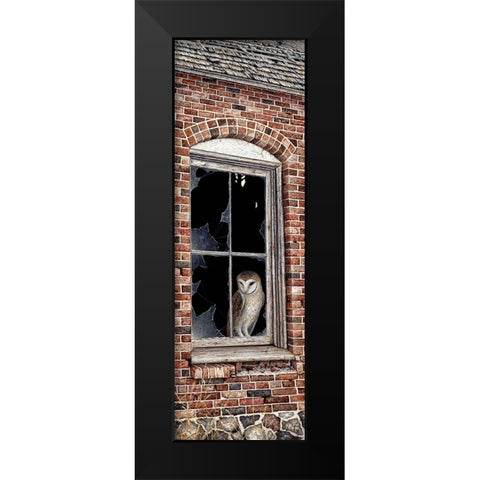 The Look Out Black Modern Wood Framed Art Print by Tift, Jeff