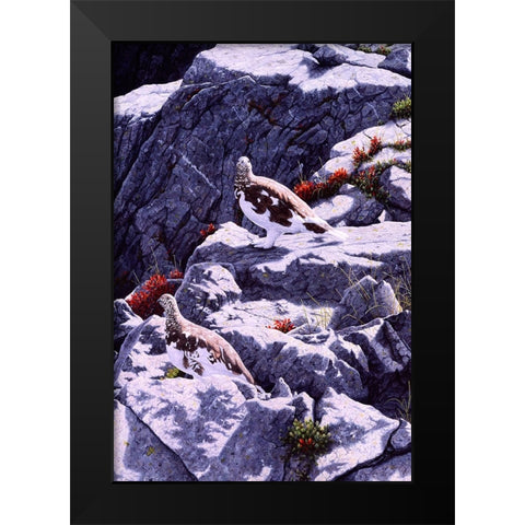 White-Tailed Ptarmigan Black Modern Wood Framed Art Print by Tift, Jeff