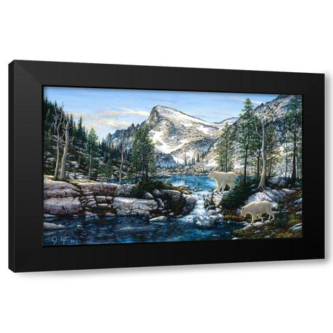 Summer In The Enchantments Black Modern Wood Framed Art Print by Tift, Jeff