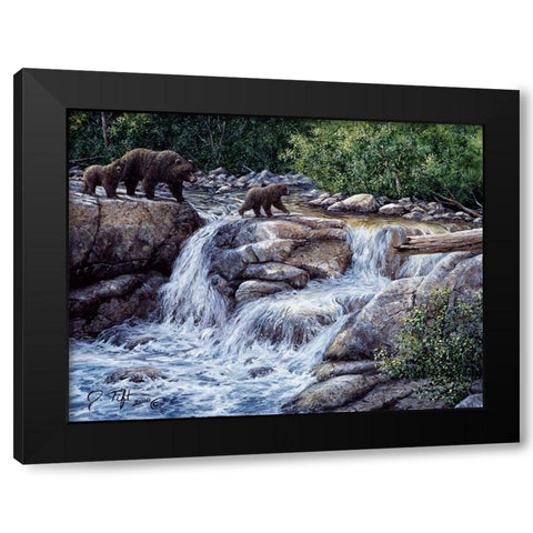 Entiat Falls-Grizzly Family Black Modern Wood Framed Art Print with Double Matting by Tift, Jeff