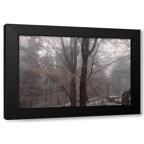 Always Together In Joy And Sorrow Black Modern Wood Framed Art Print with Double Matting by Jenny Rainbow Fine Art