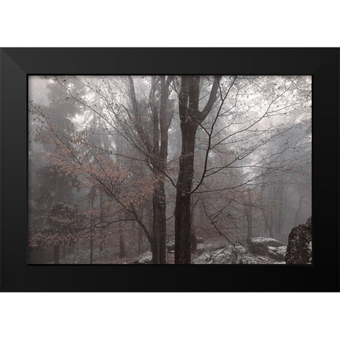 Always Together In Joy And Sorrow Black Modern Wood Framed Art Print by Jenny Rainbow Fine Art