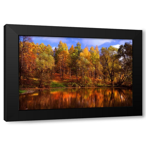 Autumn Reflections Black Modern Wood Framed Art Print by Jenny Rainbow Fine Art