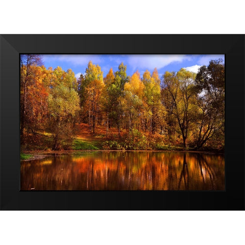 Autumn Reflections Black Modern Wood Framed Art Print by Jenny Rainbow Fine Art