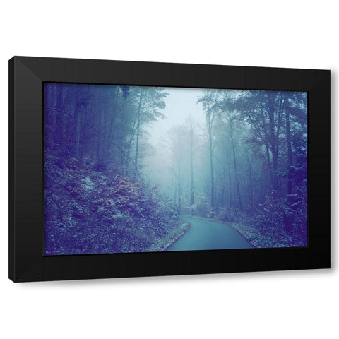 Blue Woods Misty Way Black Modern Wood Framed Art Print with Double Matting by Jenny Rainbow Fine Art