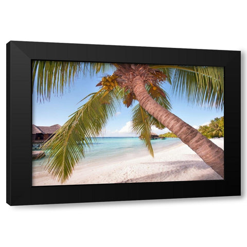 Bowed Palm Black Modern Wood Framed Art Print with Double Matting by Jenny Rainbow Fine Art