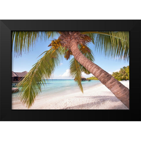 Bowed Palm Black Modern Wood Framed Art Print by Jenny Rainbow Fine Art