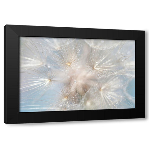 Ethereal Lightness Black Modern Wood Framed Art Print by Jenny Rainbow Fine Art