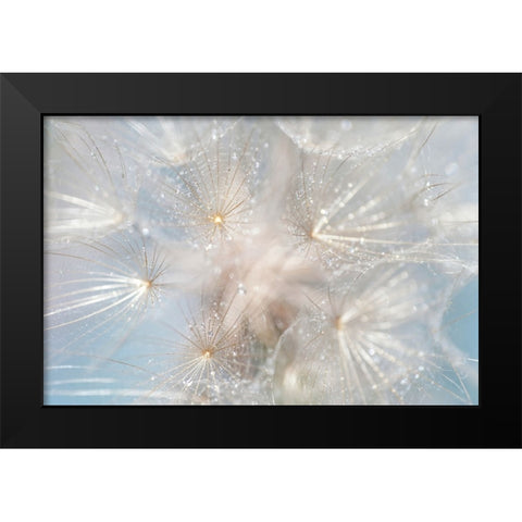 Ethereal Lightness Black Modern Wood Framed Art Print by Jenny Rainbow Fine Art