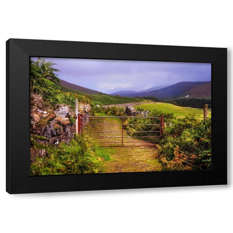 Gates on the Road at Wicklow Hills Ireland Black Modern Wood Framed Art Print by Jenny Rainbow Fine Art