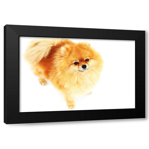 I am Here Black Modern Wood Framed Art Print with Double Matting by Jenny Rainbow Fine Art