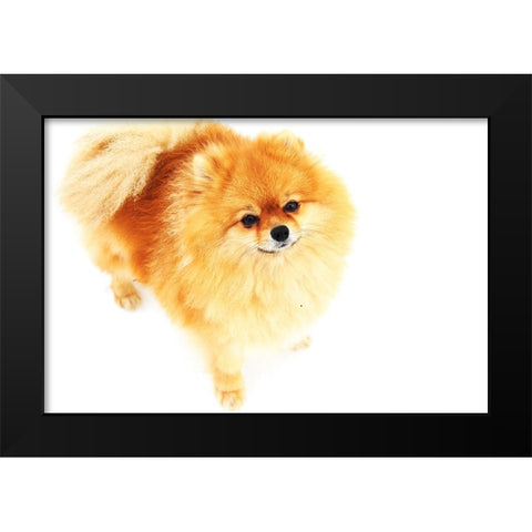 I am Here Black Modern Wood Framed Art Print by Jenny Rainbow Fine Art