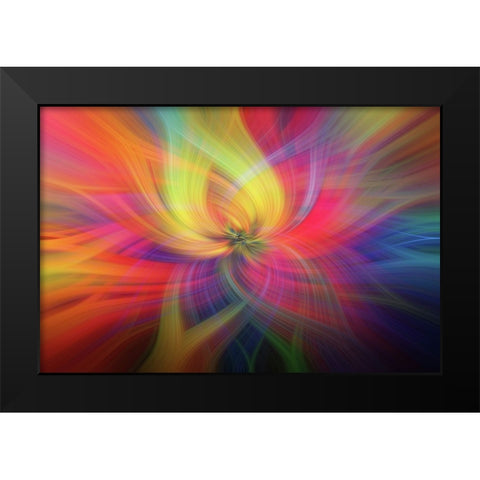 Mystery of Colors Rainbow Flower Black Modern Wood Framed Art Print by Jenny Rainbow Fine Art