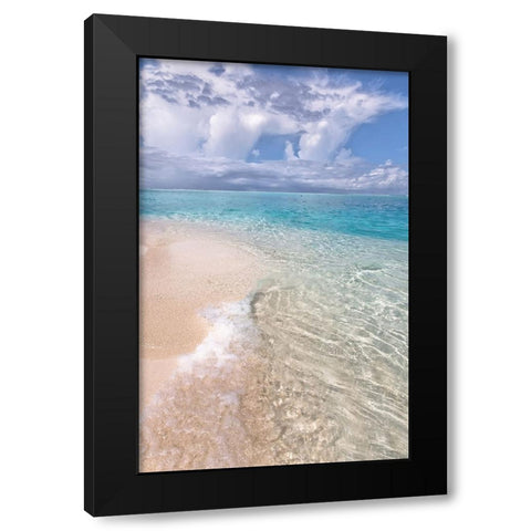 Natural Wonder Maldives Black Modern Wood Framed Art Print by Jenny Rainbow Fine Art