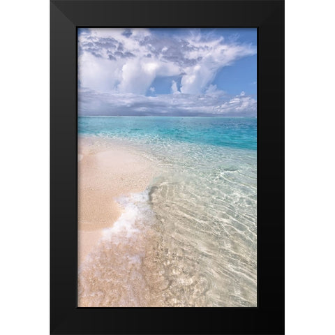 Natural Wonder Maldives Black Modern Wood Framed Art Print by Jenny Rainbow Fine Art