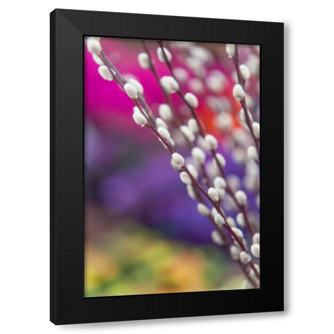 Spring Willow Branch Black Modern Wood Framed Art Print by Jenny Rainbow Fine Art