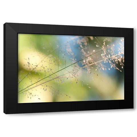 The Beauty of the Earth Black Modern Wood Framed Art Print with Double Matting by Jenny Rainbow Fine Art