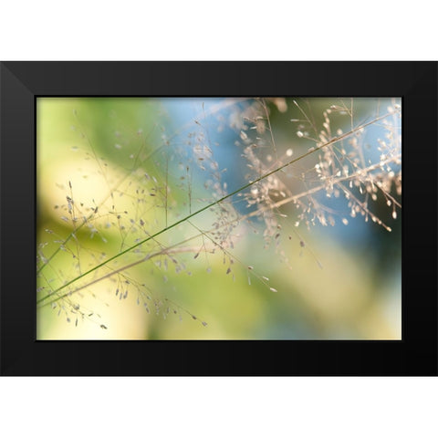 The Beauty of the Earth Black Modern Wood Framed Art Print by Jenny Rainbow Fine Art