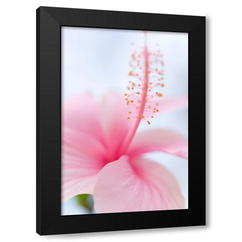 Invitation Into the Light Black Modern Wood Framed Art Print by Jenny Rainbow Fine Art