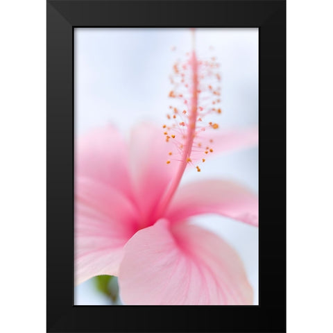 Invitation Into the Light Black Modern Wood Framed Art Print by Jenny Rainbow Fine Art