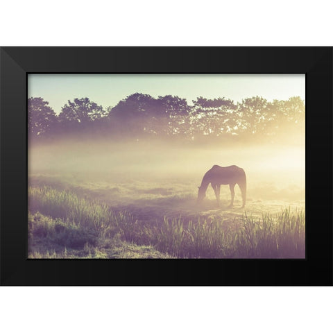 Misty Morning on the Dutch Field Black Modern Wood Framed Art Print by Jenny Rainbow Fine Art
