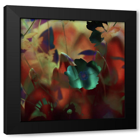 Moonlight Waltz of Flowers Black Modern Wood Framed Art Print by Jenny Rainbow Fine Art
