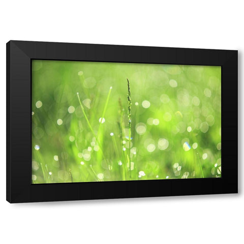 Morning Fairies Black Modern Wood Framed Art Print with Double Matting by Jenny Rainbow Fine Art