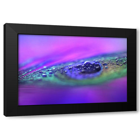 Peacock Diamonds Black Modern Wood Framed Art Print with Double Matting by Jenny Rainbow Fine Art