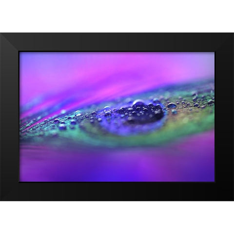 Peacock Diamonds Black Modern Wood Framed Art Print by Jenny Rainbow Fine Art