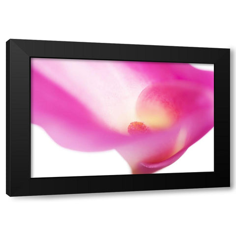 Pink Veil Black Modern Wood Framed Art Print with Double Matting by Jenny Rainbow Fine Art