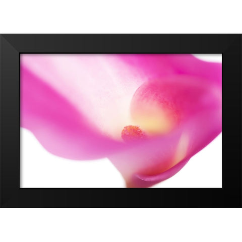 Pink Veil Black Modern Wood Framed Art Print by Jenny Rainbow Fine Art